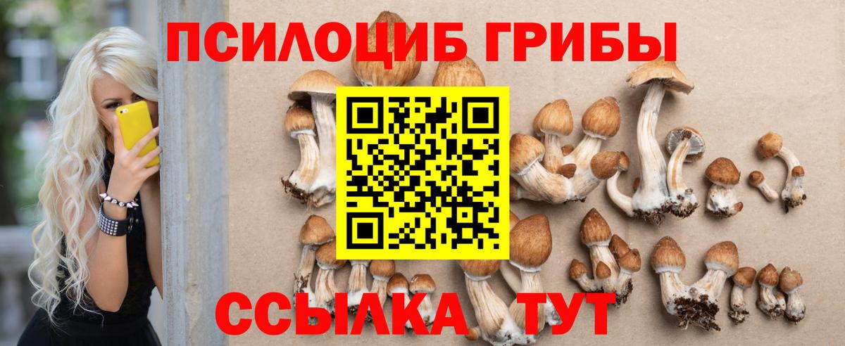 Галлюциногенные грибы Psilocybine cubensis  Вход с VPN  Жуковский 